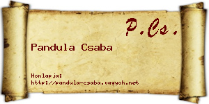 Pandula Csaba névjegykártya