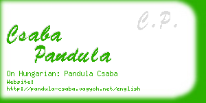 csaba pandula business card